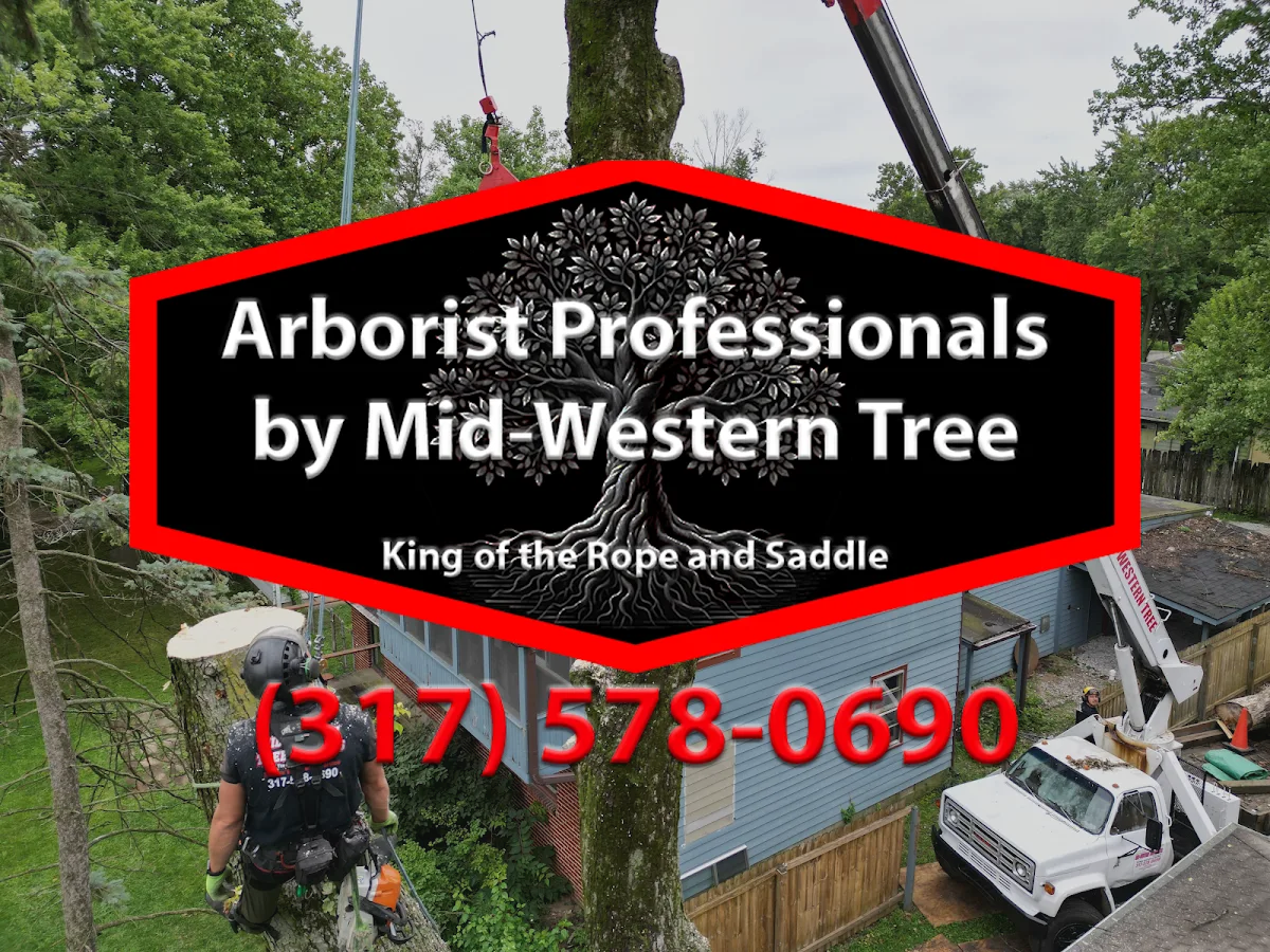 Arborist Professionals By Midwestern Tree Experts gallery 2
