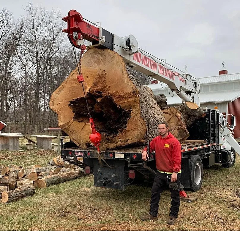 Arborist Professionals By Midwestern Tree Experts gallery 4