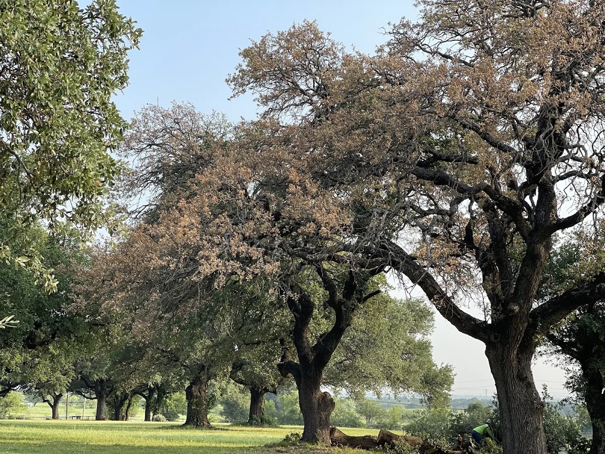 Arborist USA