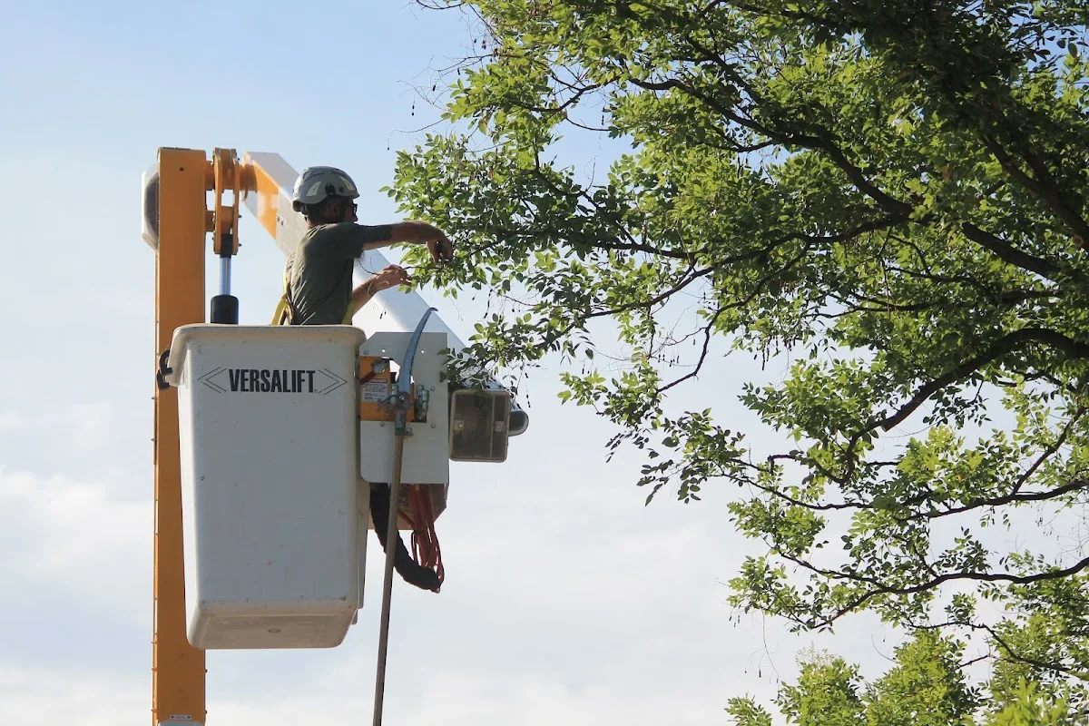 Arborlogical - SavATree work site