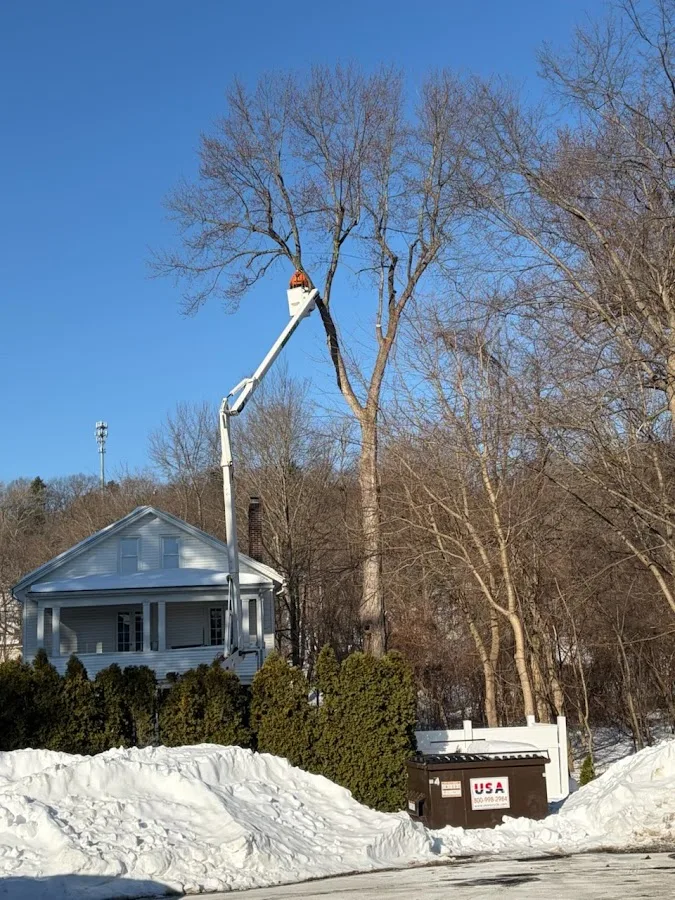 Arbormax Tree Care LLC gallery 2