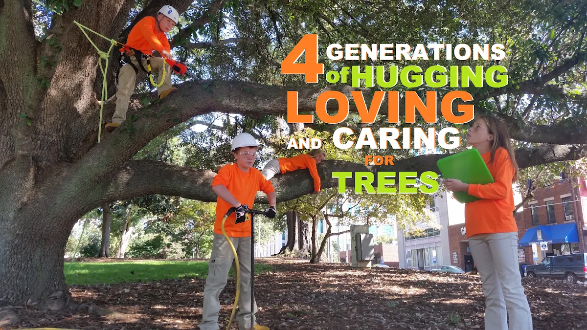 ArborMax Tree Service