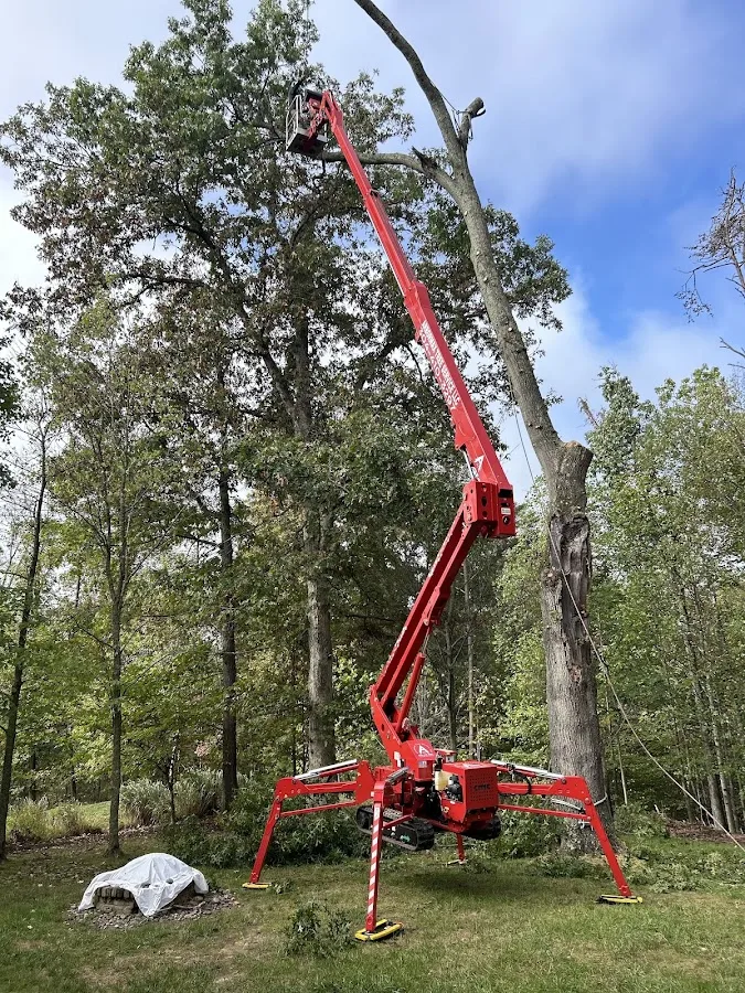 ArbormaxX Tree Service LLC gallery 2