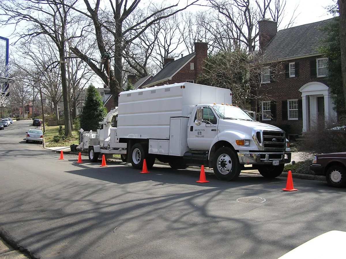 Arlington Tree Care