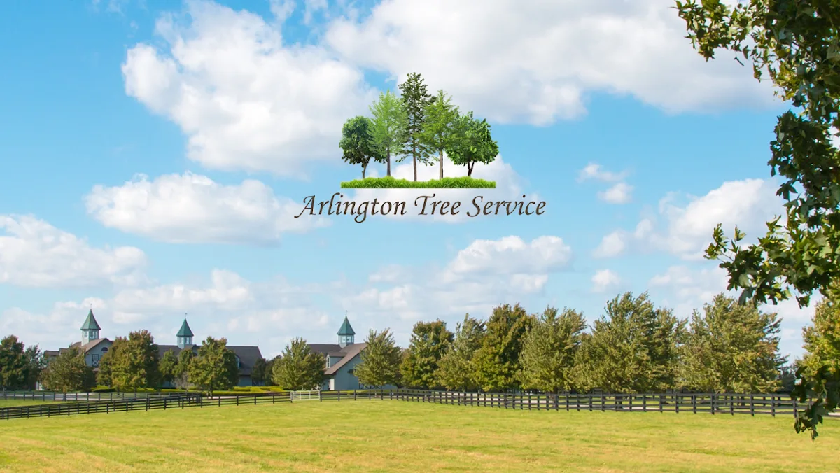 Arlington Tree Service