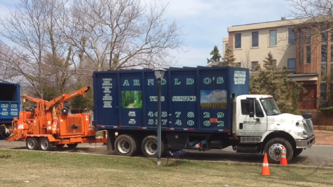 Arnoldo's Tree Service gallery 2