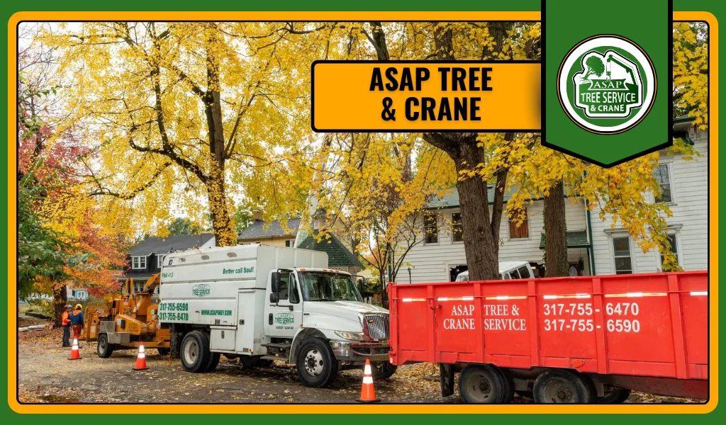 ASAP Tree and Crane Services