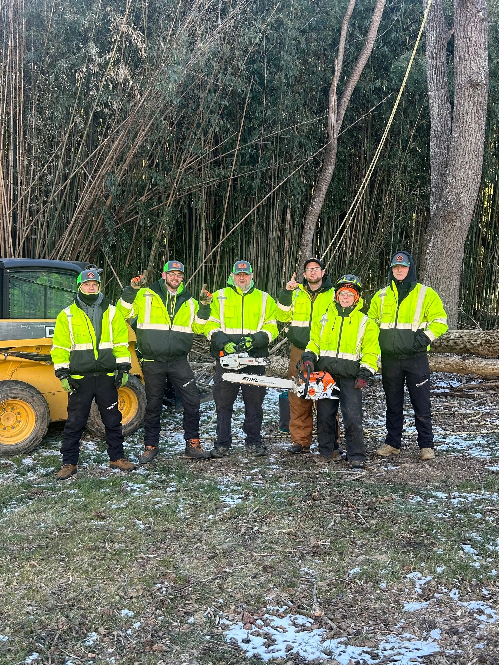 Asheville Affordable Tree Men gallery 4
