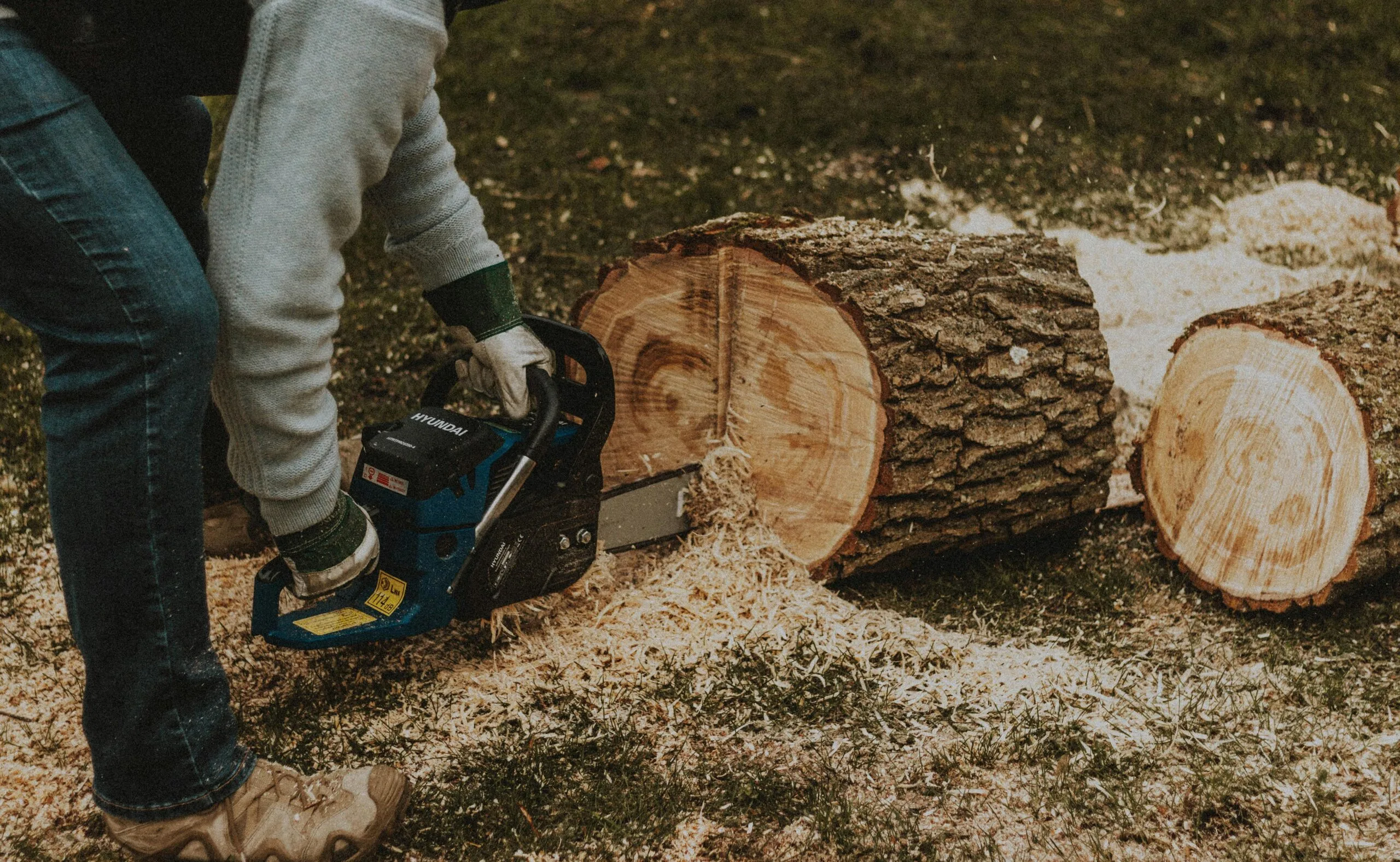 Ashland Tree Service gallery 7