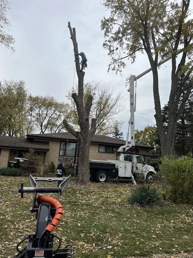 Ashley Tree Service