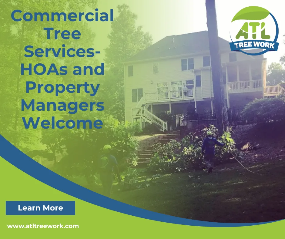 ATL Tree Work gallery 2