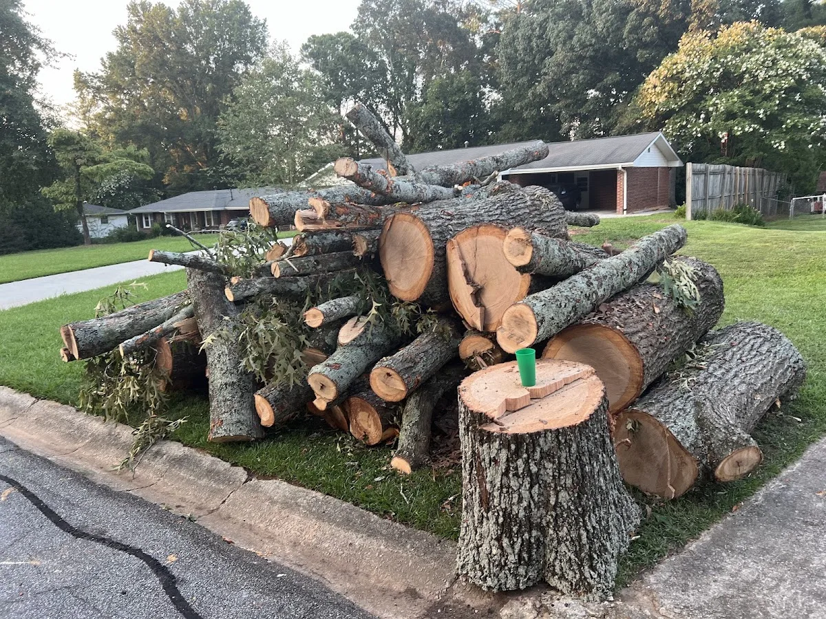 Atlanta Tree Movers