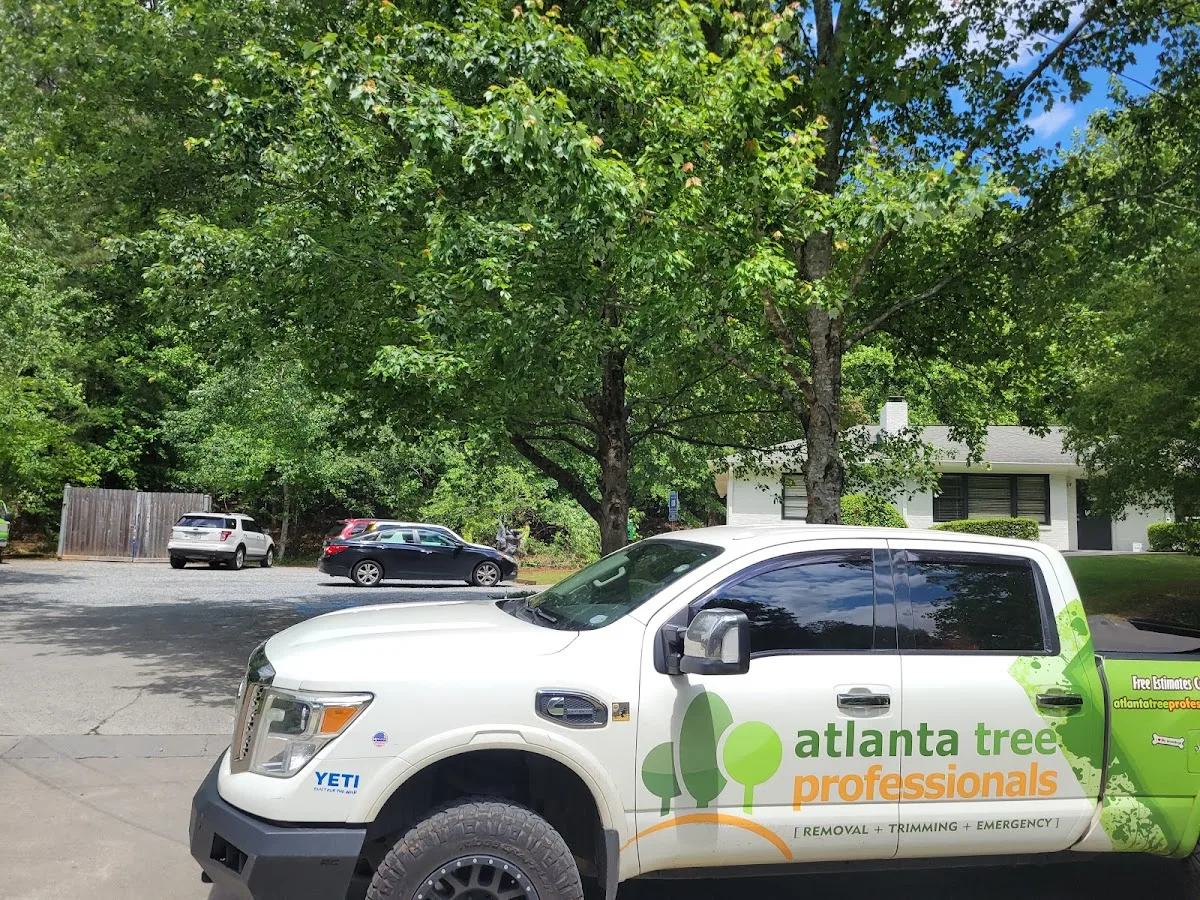Atlanta Tree Professionals