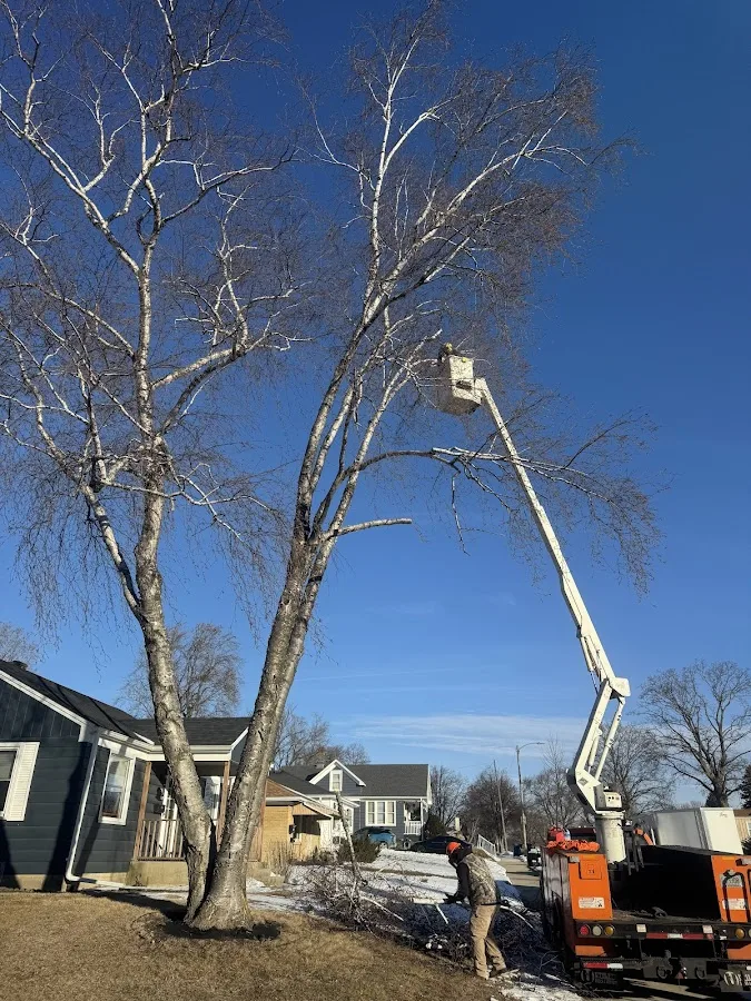 ATS Tree & Outdoor Services LLC