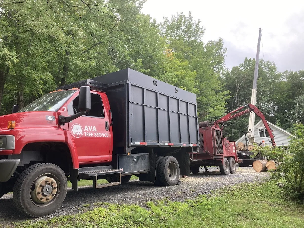 AVA Tree Service