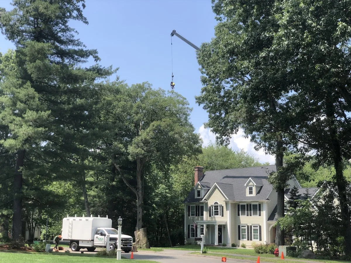 B&M Tree Service, LLC