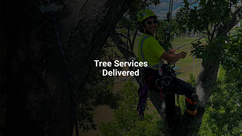 Barrett Tree Service East