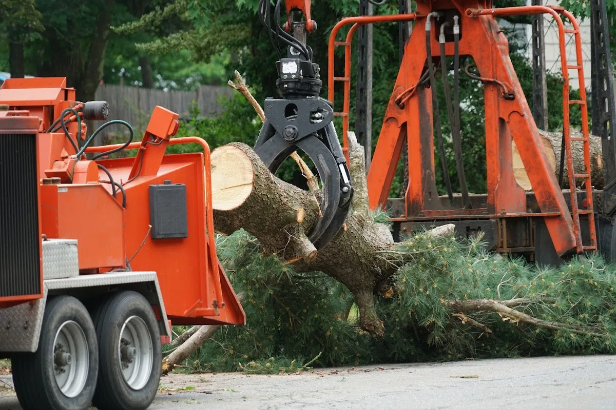 Bart’s Bronx Tree Services work site