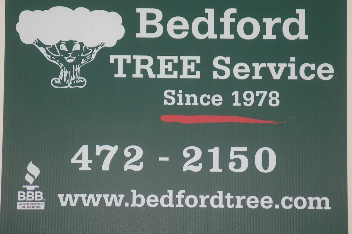 Bedford Tree Service in Manchester, NH: Navigating Tree Care for Your Property