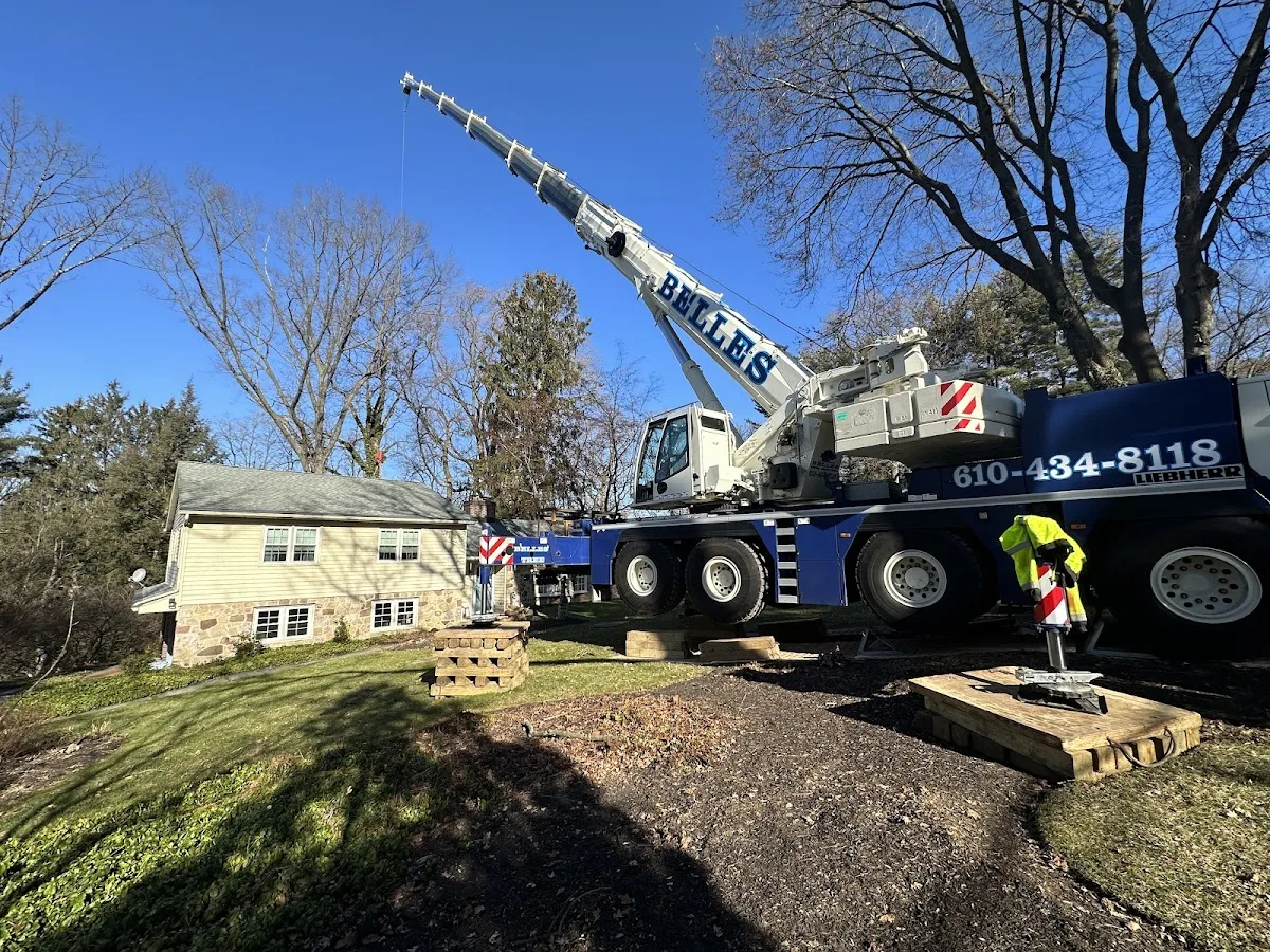 Belles Tree Service