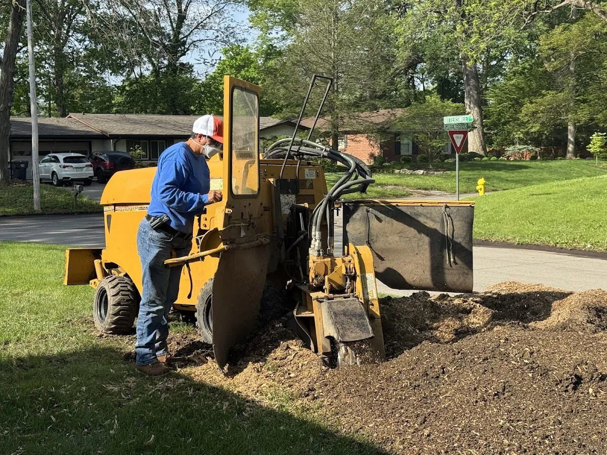 Benjamin Indy Tree Service LLC gallery 2