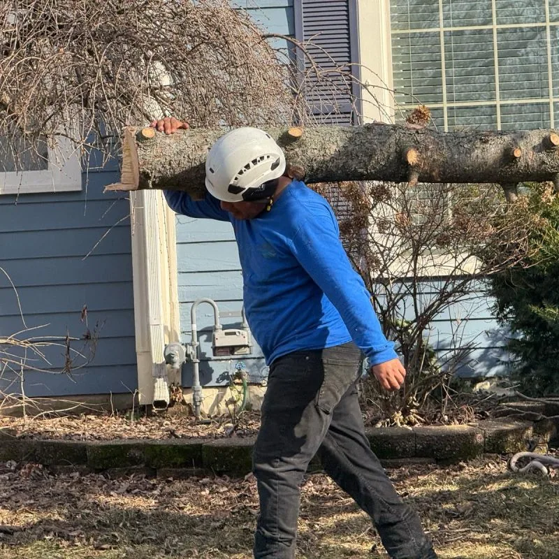 Benjamin Indy Tree Service LLC gallery 3