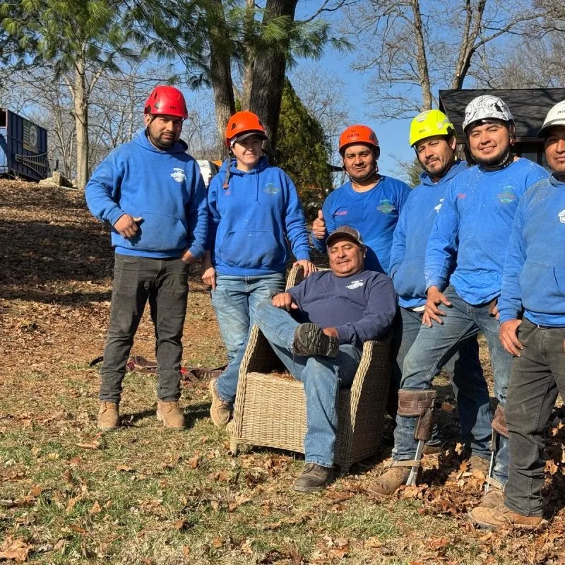 Benjamin Indy Tree Service LLC gallery 5