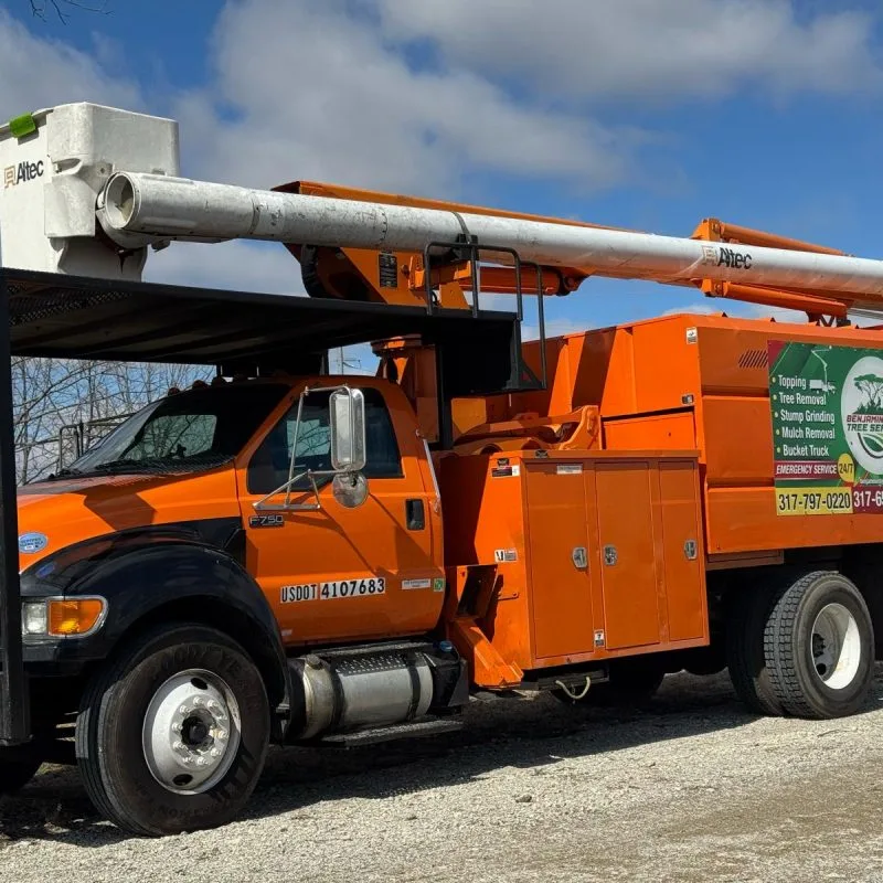 Benjamin Indy Tree Service LLC gallery 6