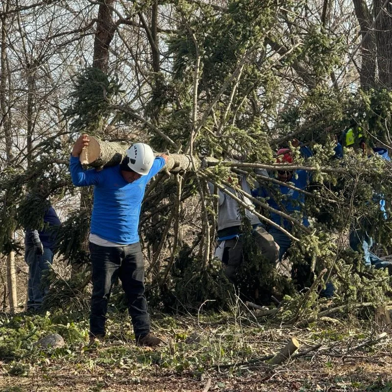 Benjamin Indy Tree Service LLC gallery 8