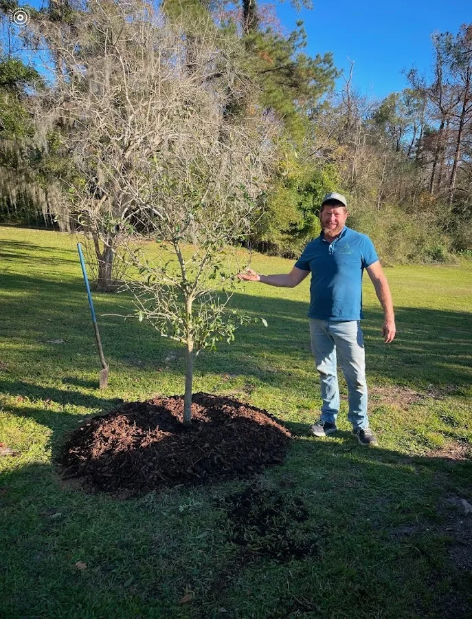 Benton Tree Service