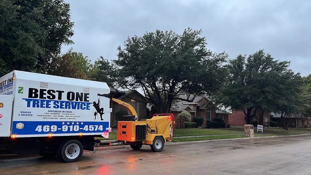 Best One Tree Service