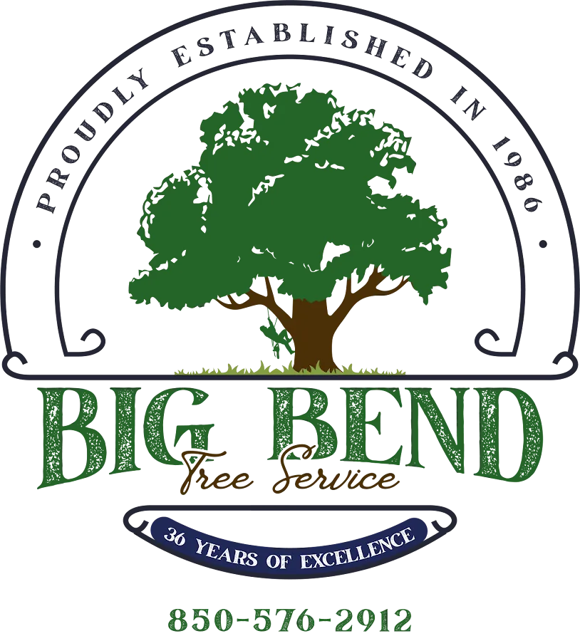Big Bend Tree Service LLC gallery 2