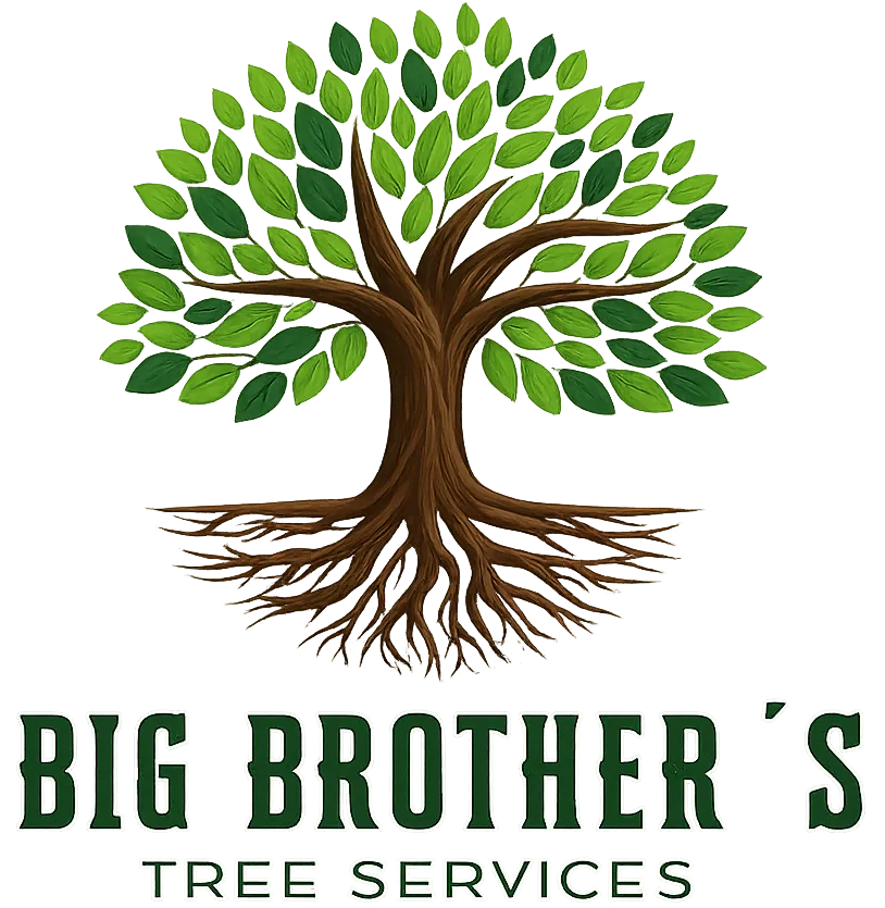 Big Brothers Tree Services gallery 5