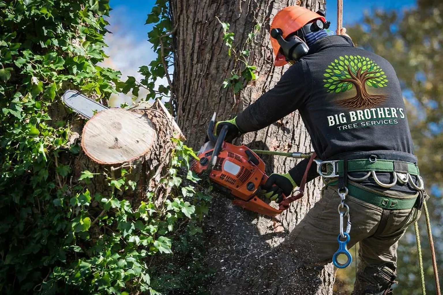 Big Brothers Tree Services gallery 6