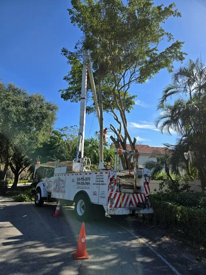 Big Dawgs Tree Service and Stumpgrinding