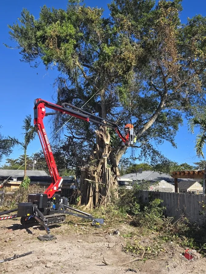 Big Dawgs Tree Service and Stumpgrinding gallery 2