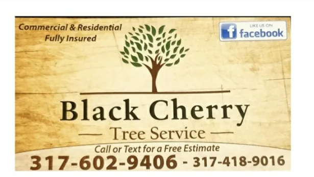 Black Cherry Tree Service gallery 2