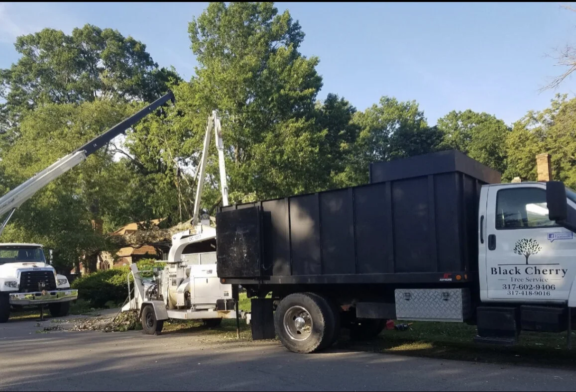 Black Cherry Tree Service gallery 4