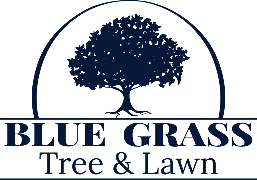 Bluegrass Tree & Lawn gallery 3