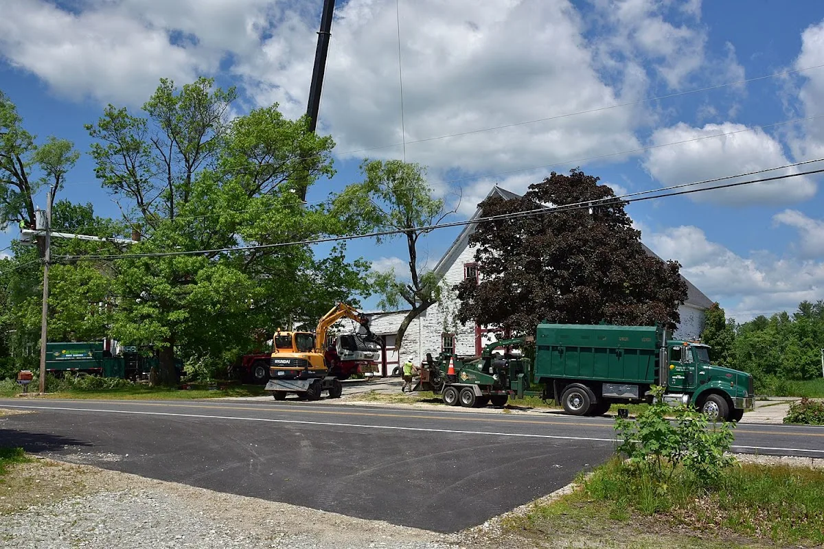 Boisvert Brothers in Goffstown: Build a Clear Tree-Removal Scope