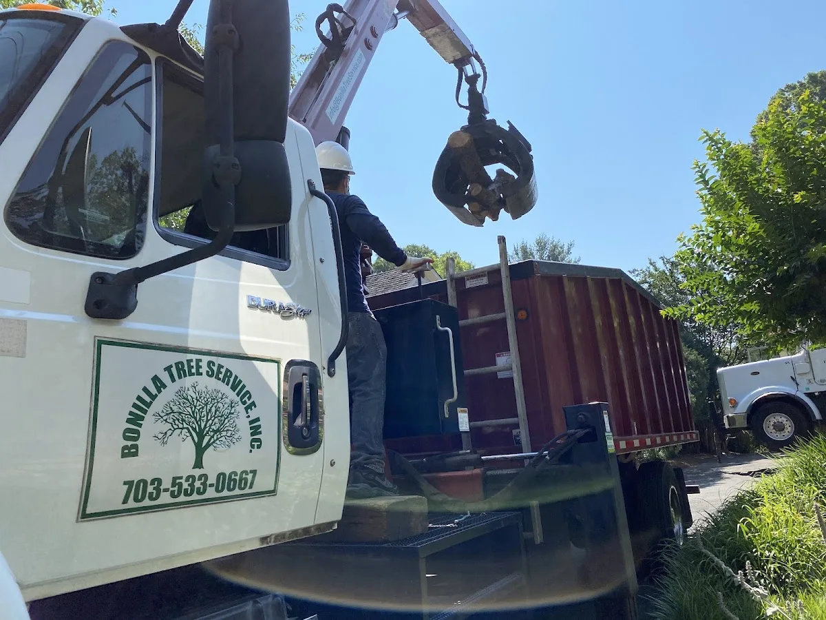 Bonilla Tree Service Inc.