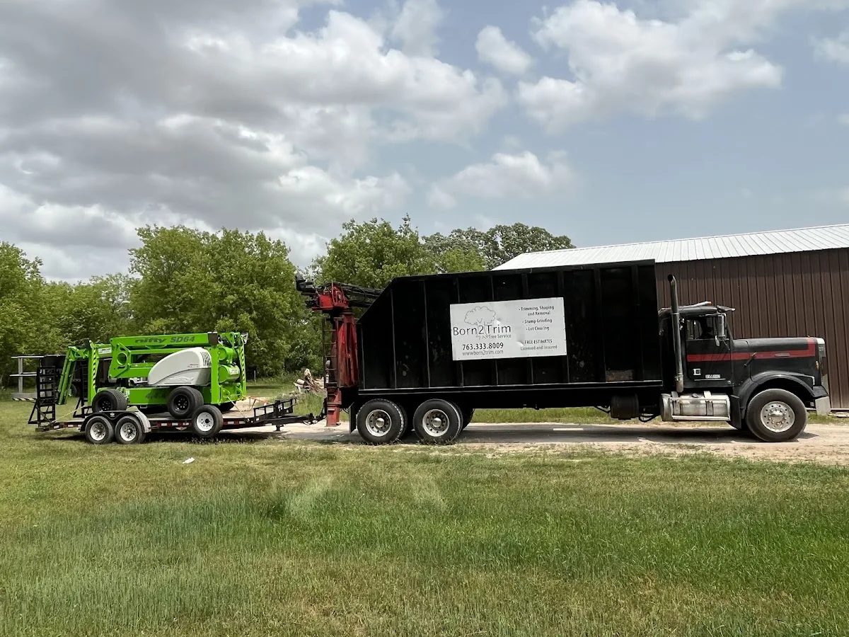 Born2trim Tree Service