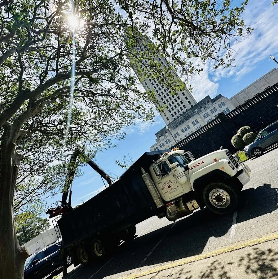 Borskey Tree Service