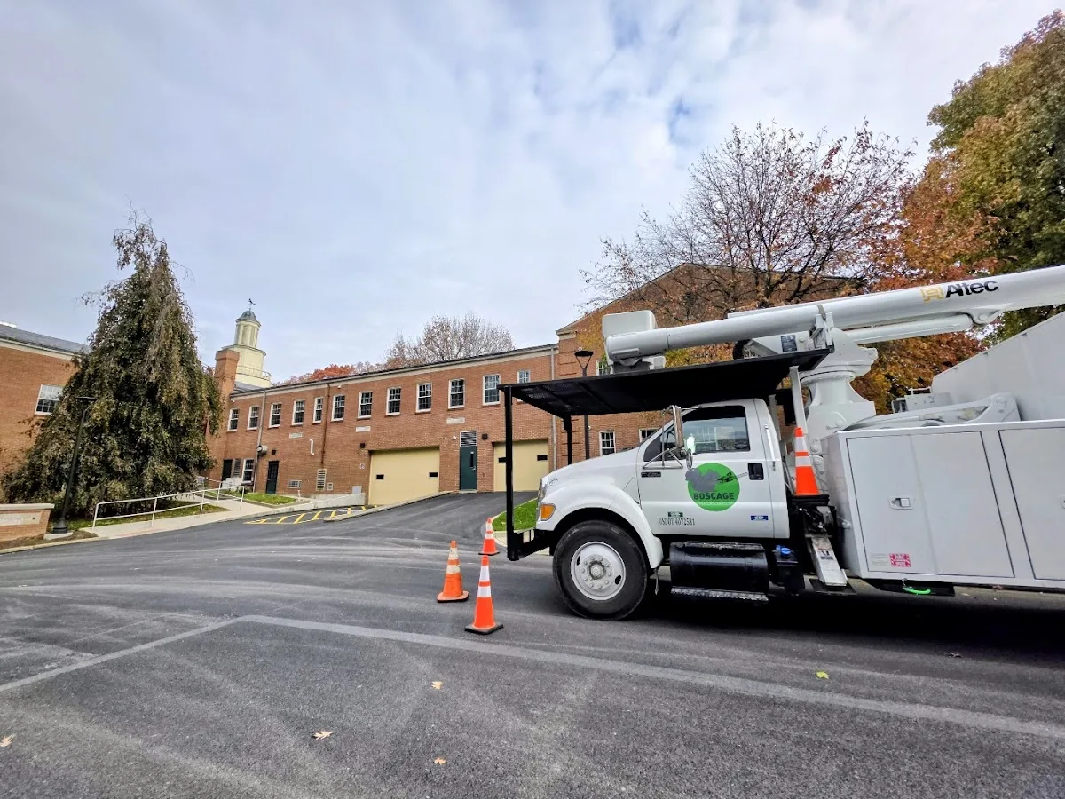Boscage Tree Service