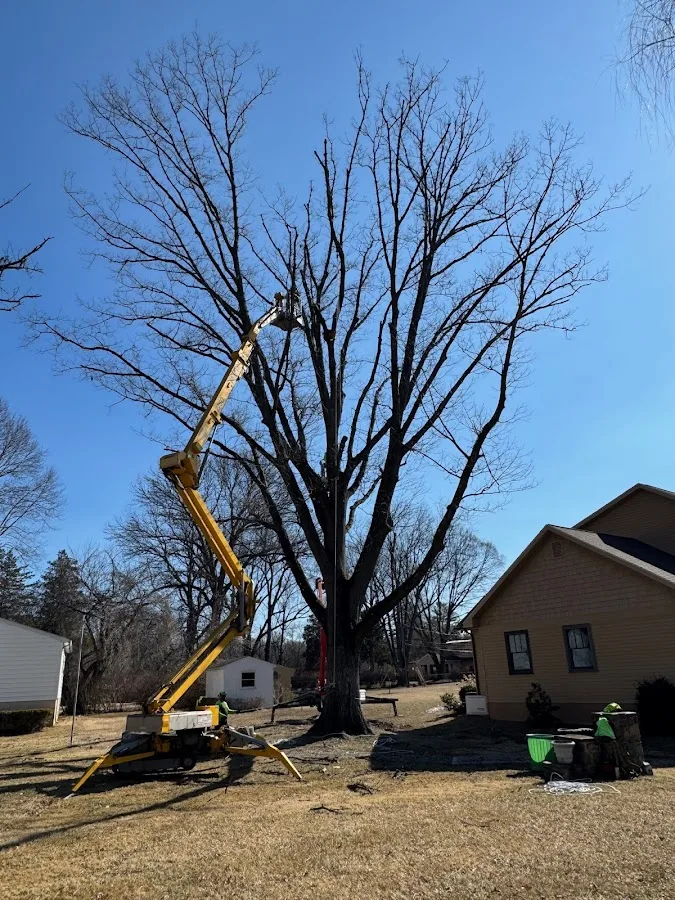 Brandywine Tree & Shrub work site