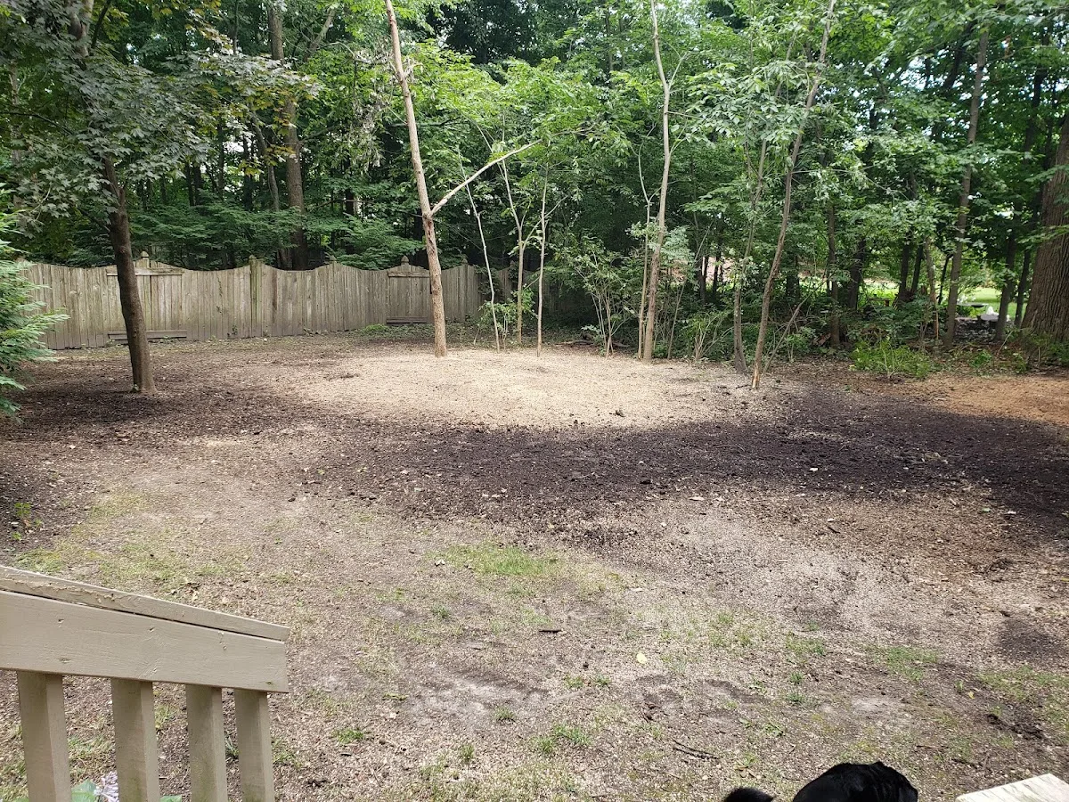 Broad Ripple Tree Service, Inc gallery 2