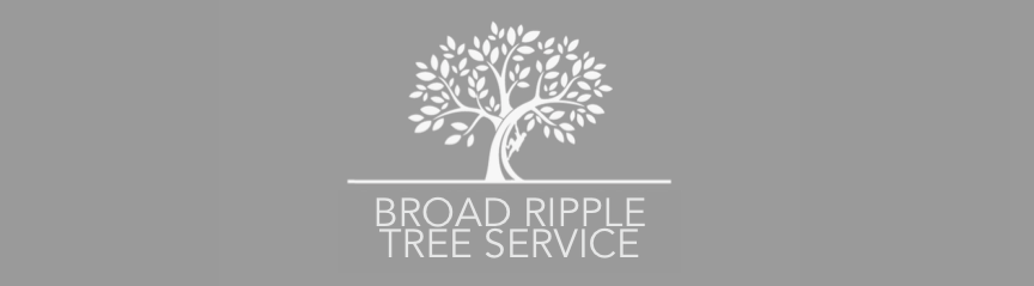 Broad Ripple Tree Service, Inc gallery 3