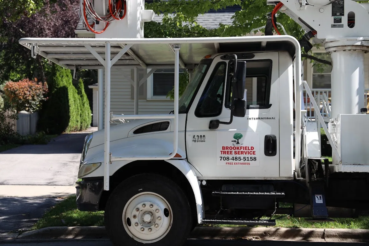 Brookfield Tree Service