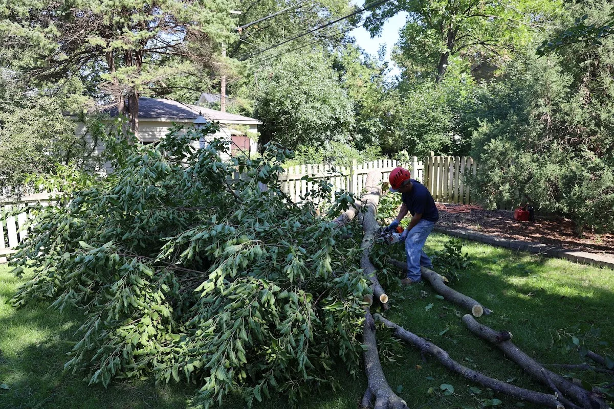 Brookfield Tree Service gallery 2