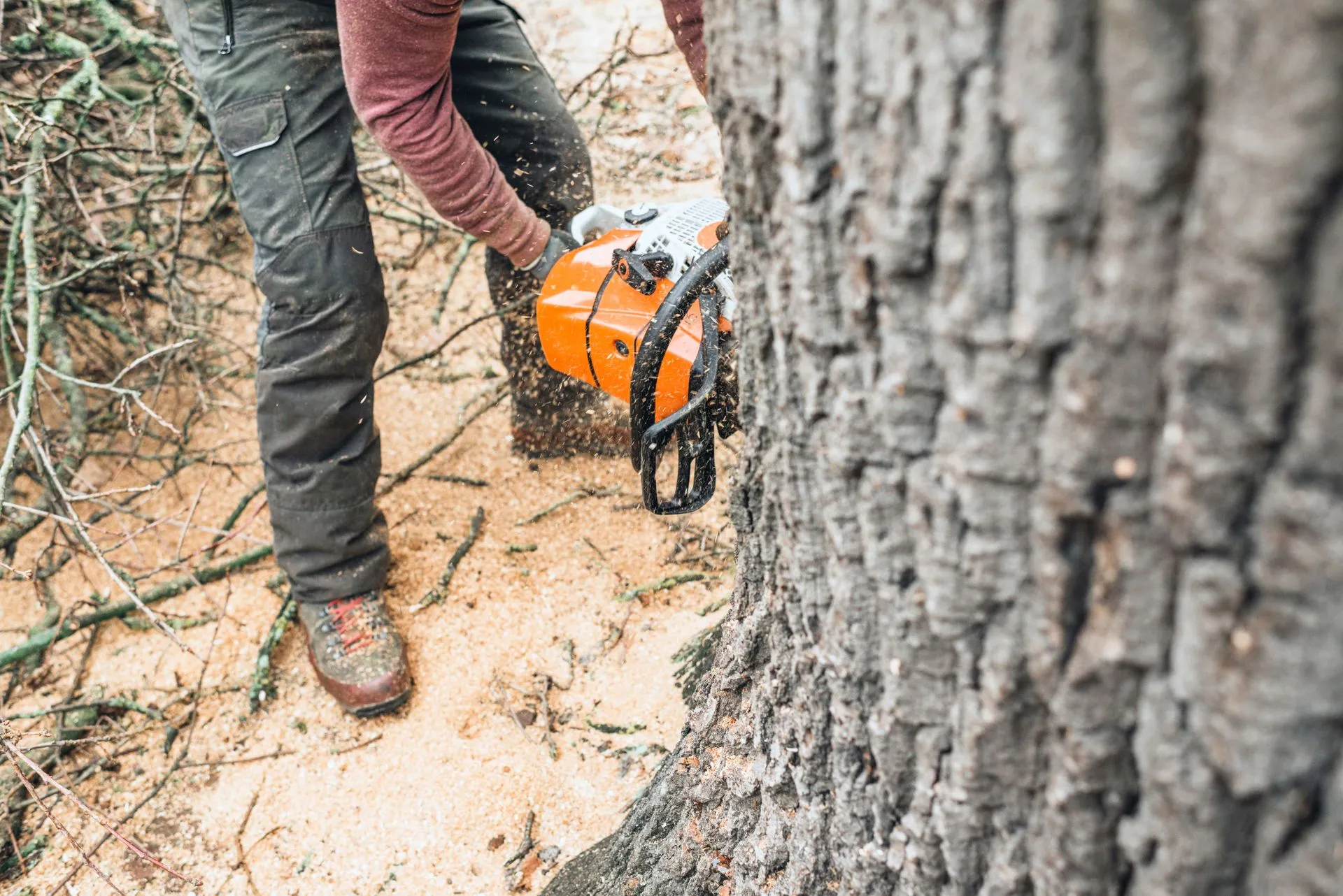 Bulldogs Tree Service gallery 6